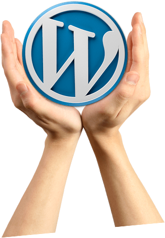 Wordpress Development & Maintenance